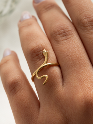 Anel Snake