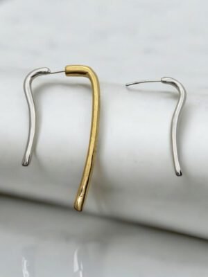 Brinco Mix Argola Gancho